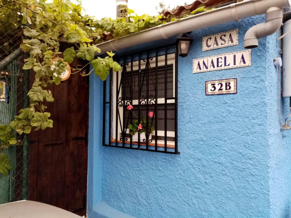 Casa Anaelia Villa La Orotava Bagian luar foto